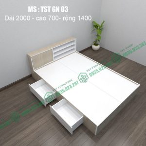 Giường nhựa Đài Loan TSTGN03